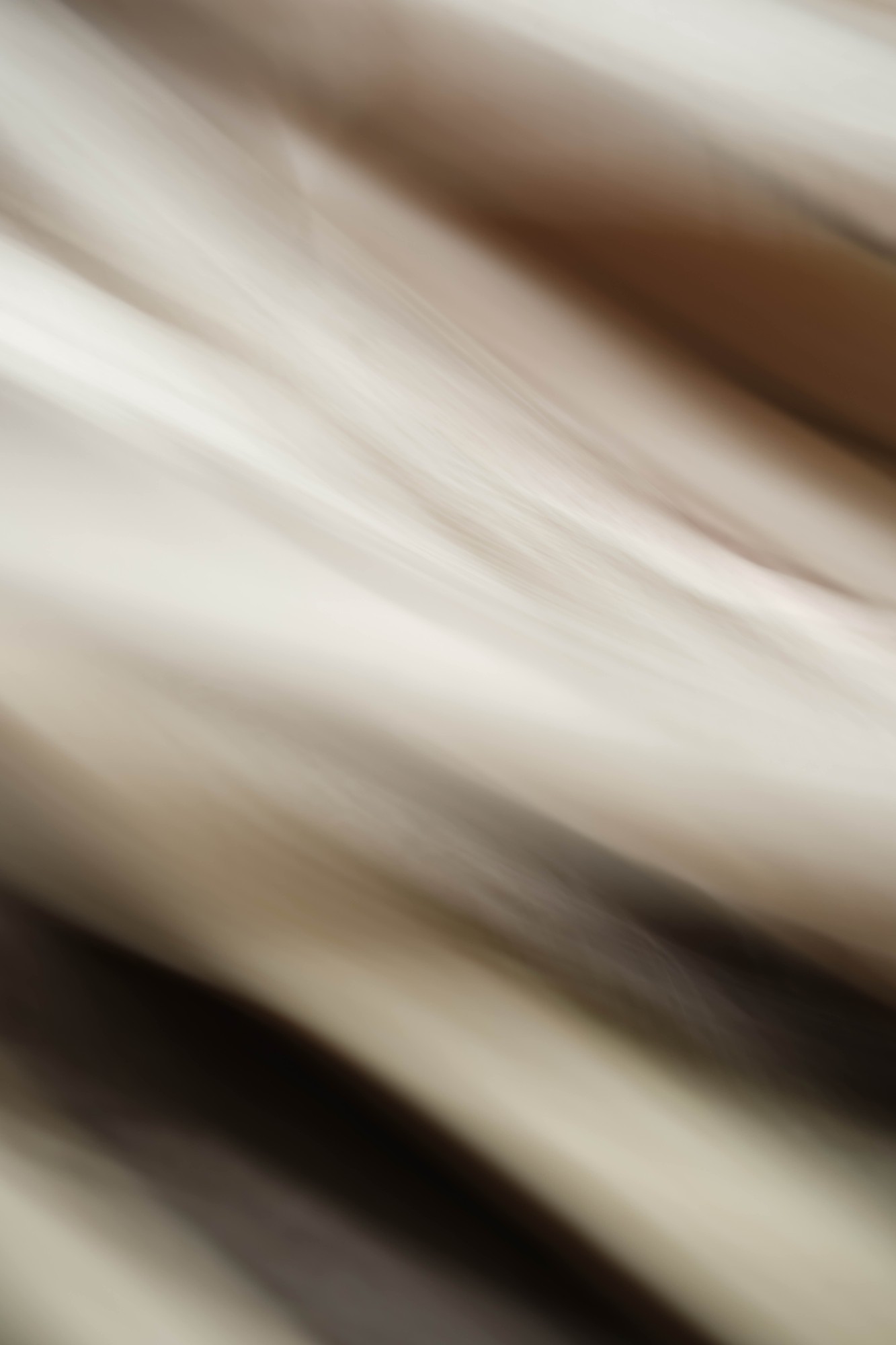 product still life